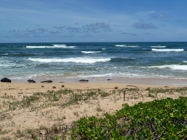 Loading Resort Image...